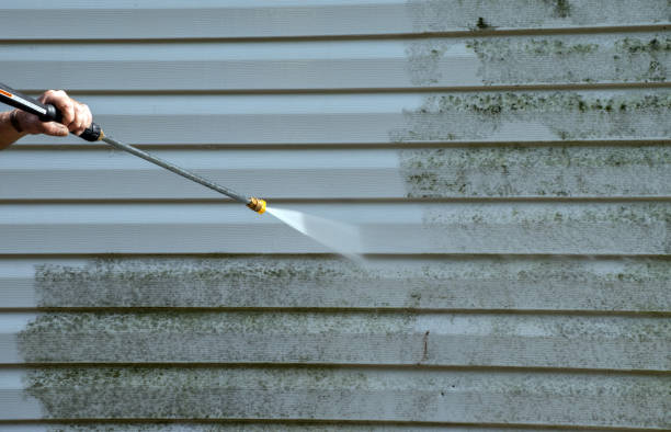 Best Roof Cleaning and Mildew Removal in Random Lake, WI